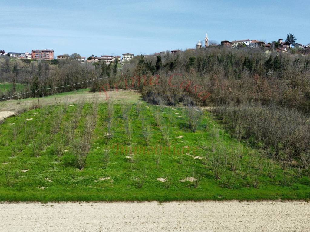 Terreno a Antignano in Strada Genovesi, 2 - Foto 2