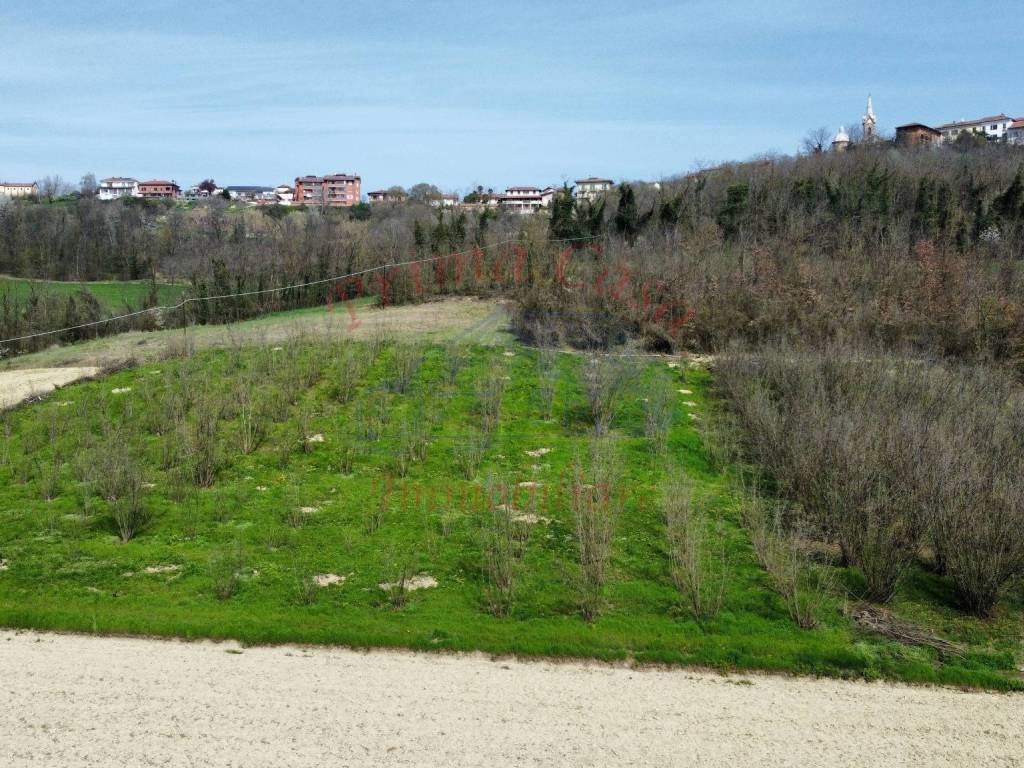 Terreno a Antignano in Strada Genovesi, 2 - Foto 3
