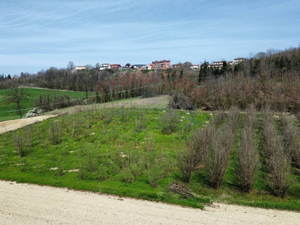 Terreno a Antignano in Strada Genovesi, 2 - Foto 4