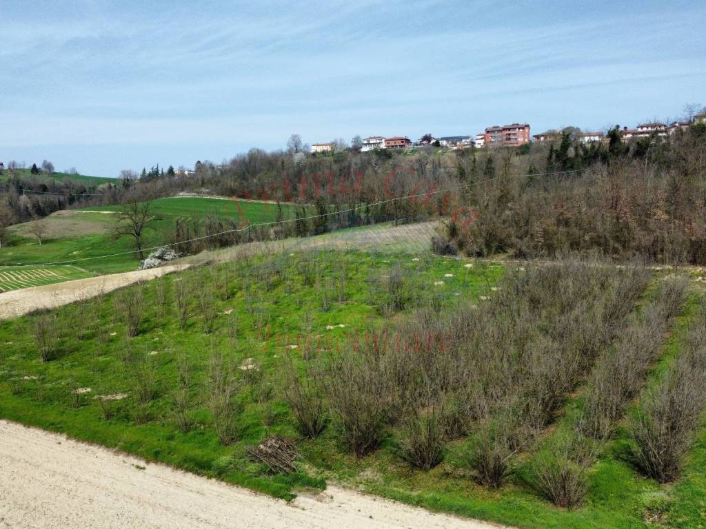 Terreno a Antignano in Strada Genovesi, 2 - Foto 5