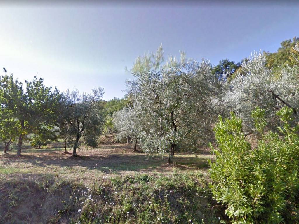 Terreno a Monsummano terme in Via Castello di Monsummano Alto - Foto 3