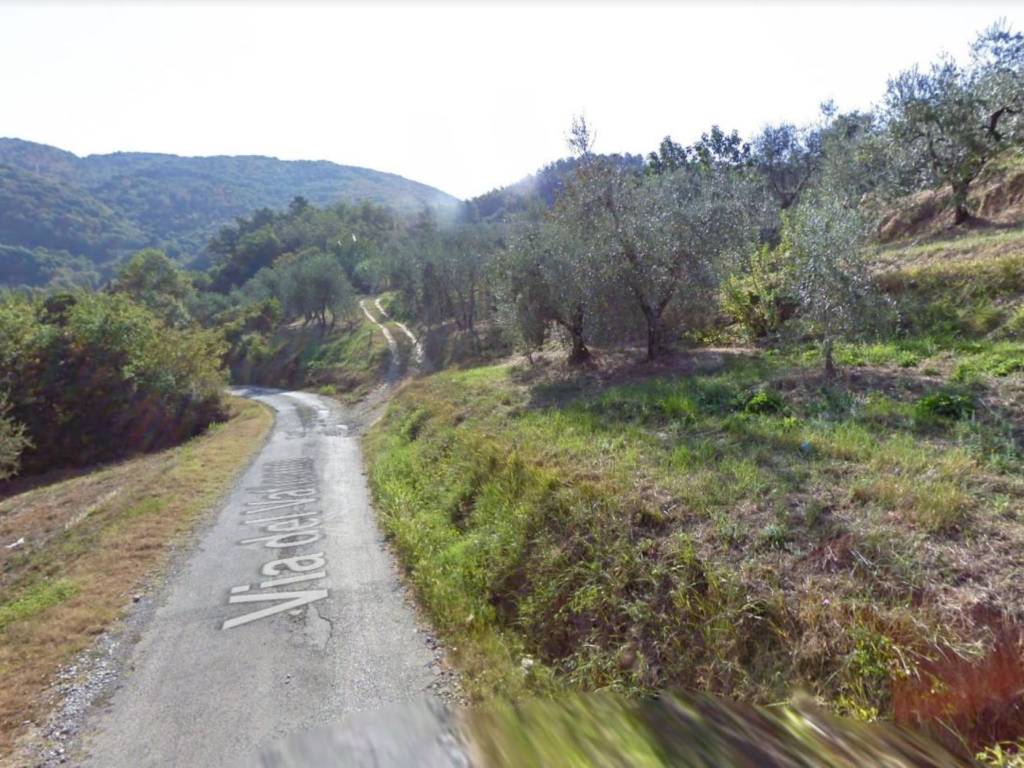 Terreno a Monsummano terme in Via Castello di Monsummano Alto - Foto 4