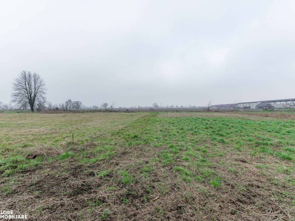 Terreno a Mediglia in Via Martiri della Libertà - Foto 2