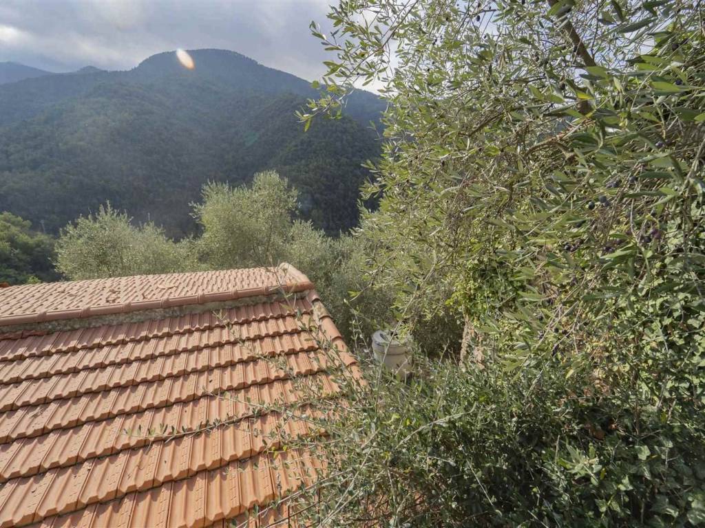 Rustico / casale a Apricale - Foto 3