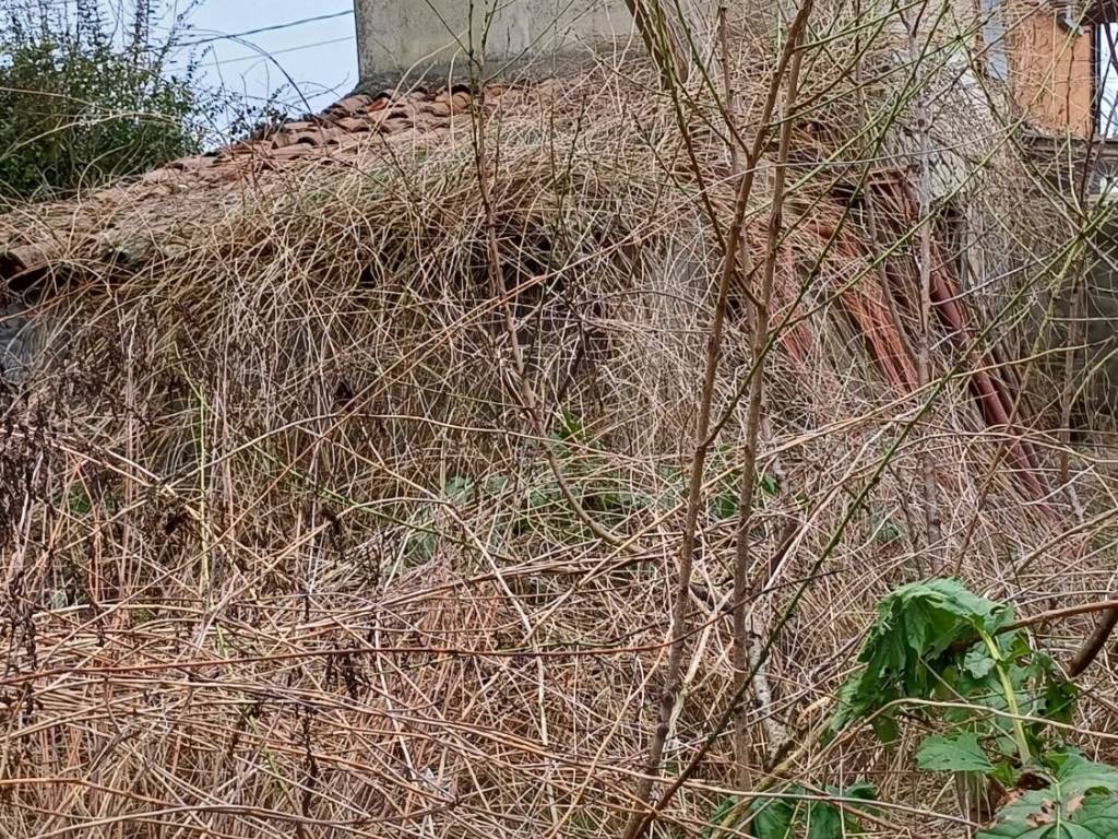 Villa a Ferrara in Via dell' Orto, 83 - Foto 3