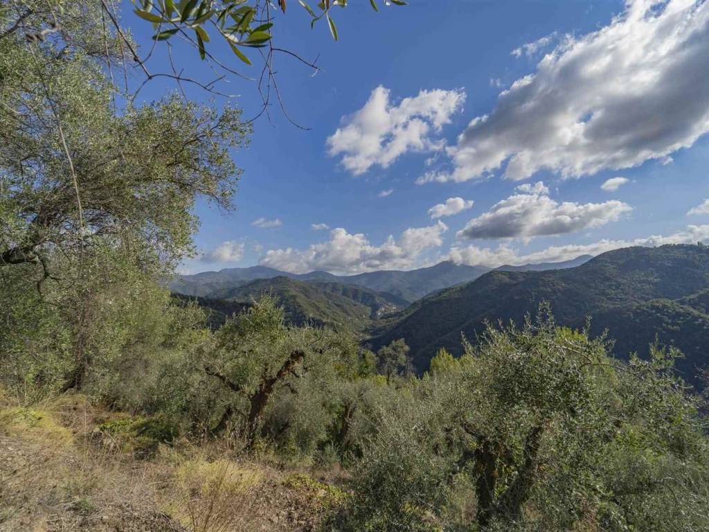 Rustico / casale a Dolceacqua - Foto 3