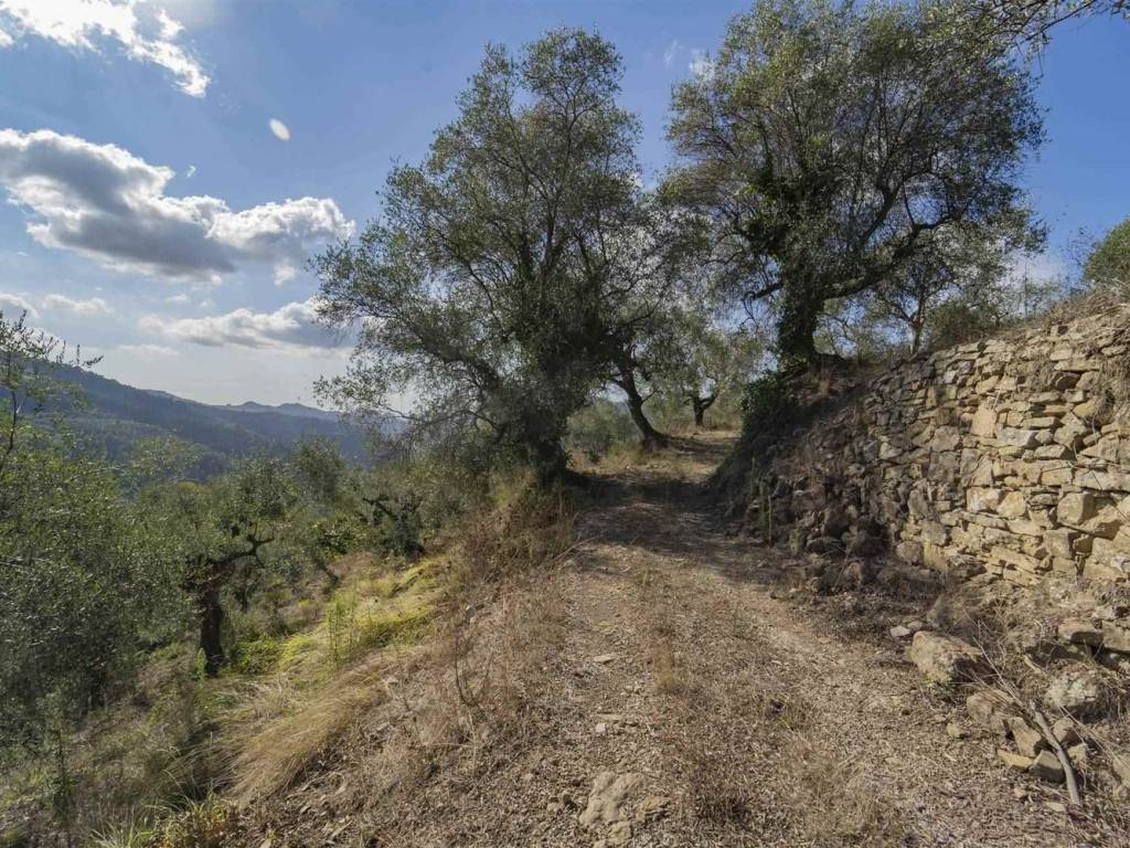 Rustico / casale a Dolceacqua - Foto 5