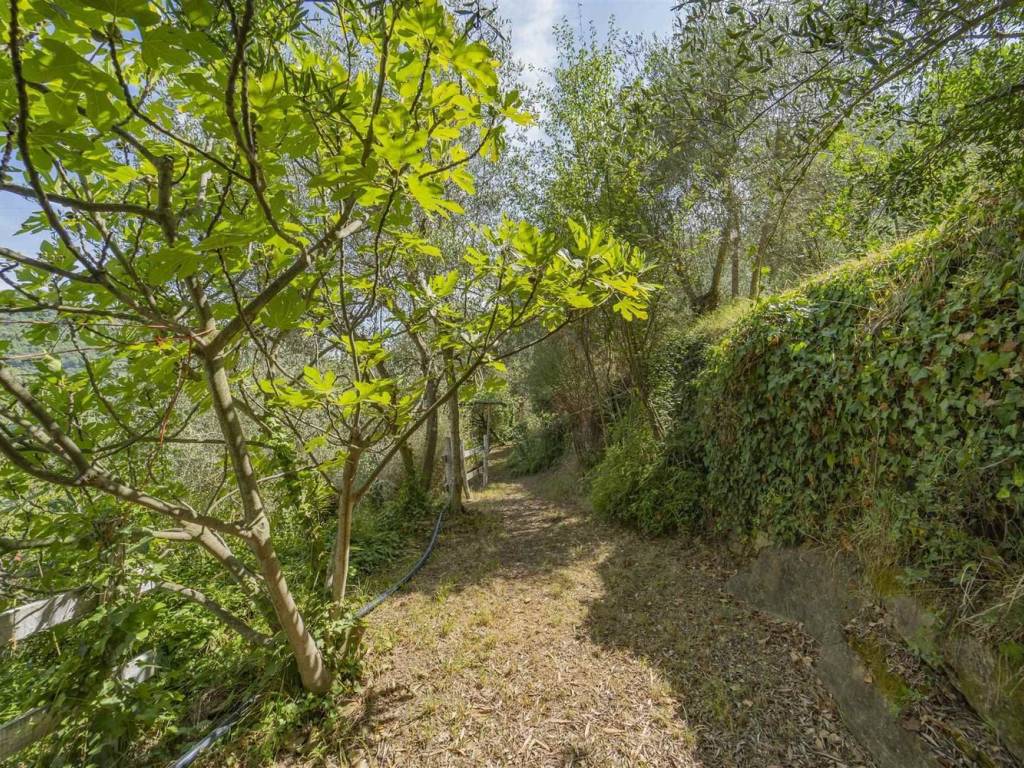 Immobile a Camporosso - Foto 2