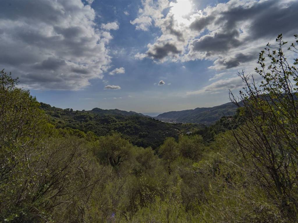 Terreno a Dolceacqua - Foto 2