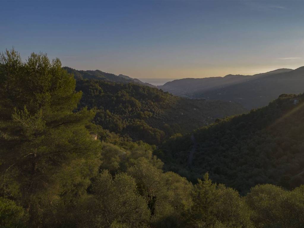 Terreno a Dolceacqua - Foto 3