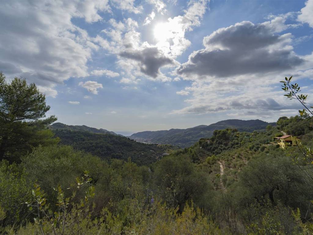 Terreno a Dolceacqua - Foto 5