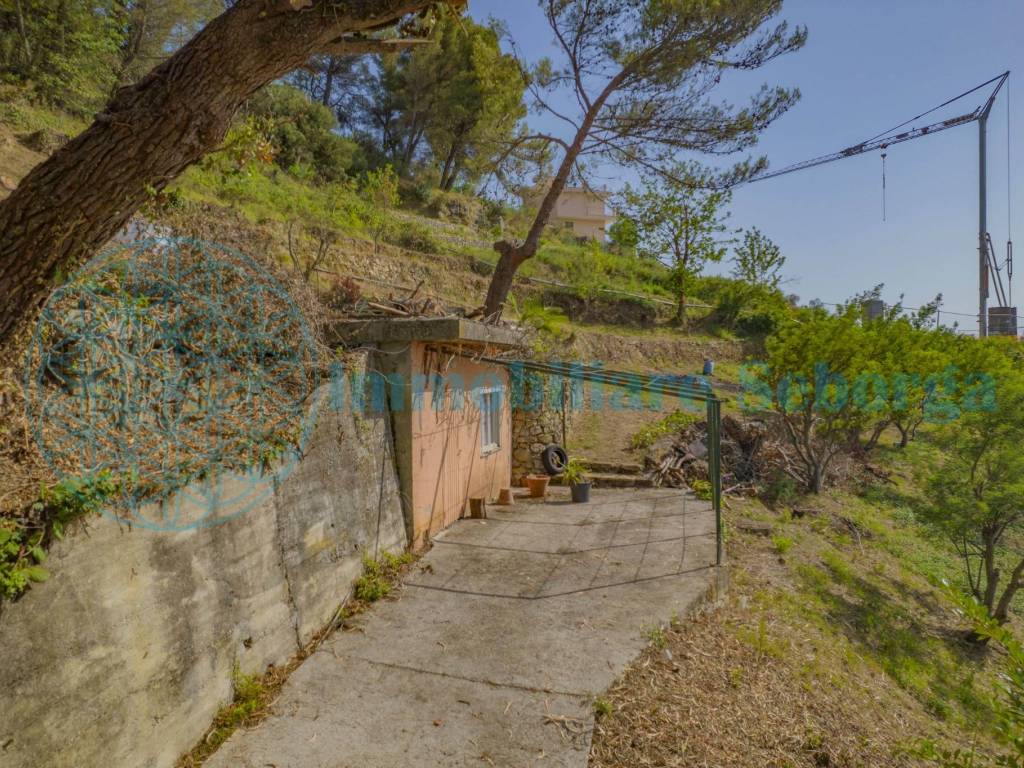 Terreno a Seborga in Vicolo B. Leone - Foto 3
