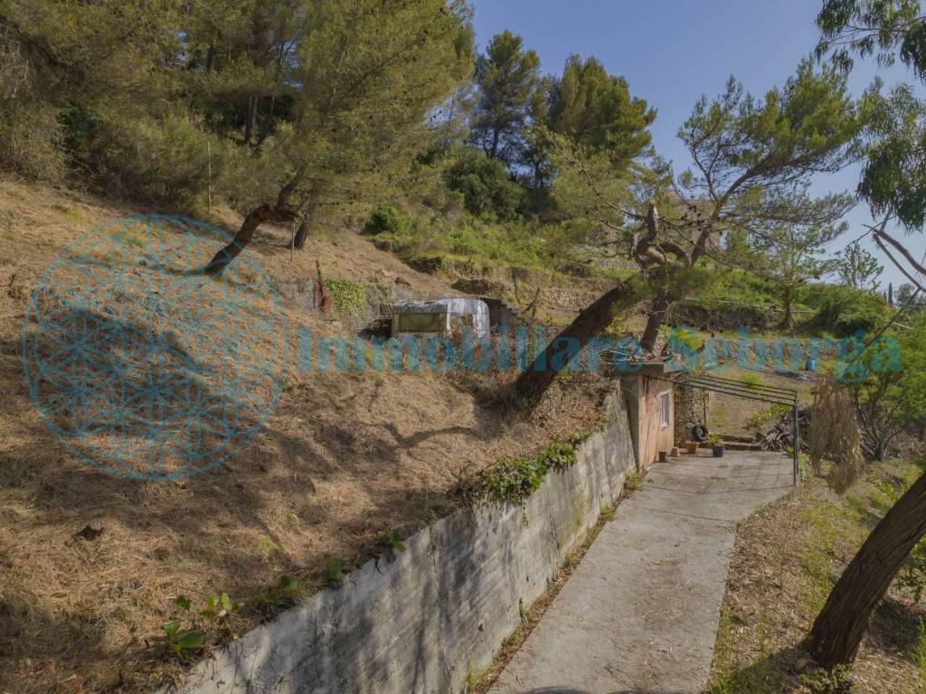 Terreno a Seborga in Vicolo B. Leone - Foto 4