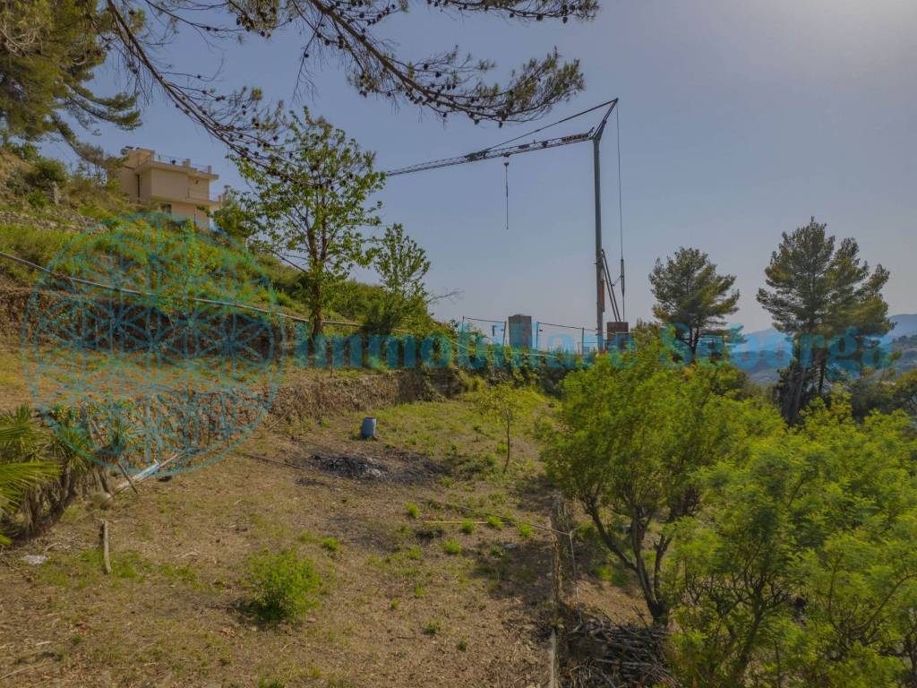 Terreno a Seborga in Vicolo B. Leone - Foto 5