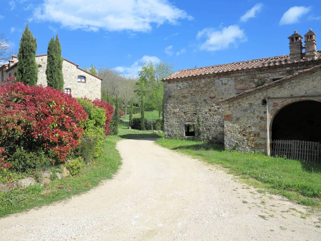 Rustico / casale a Montieri - Foto 3