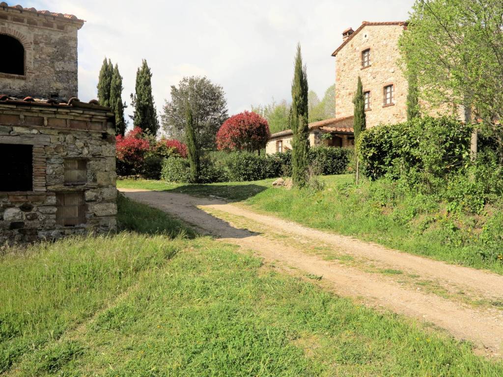 Rustico / casale a Montieri - Foto 5