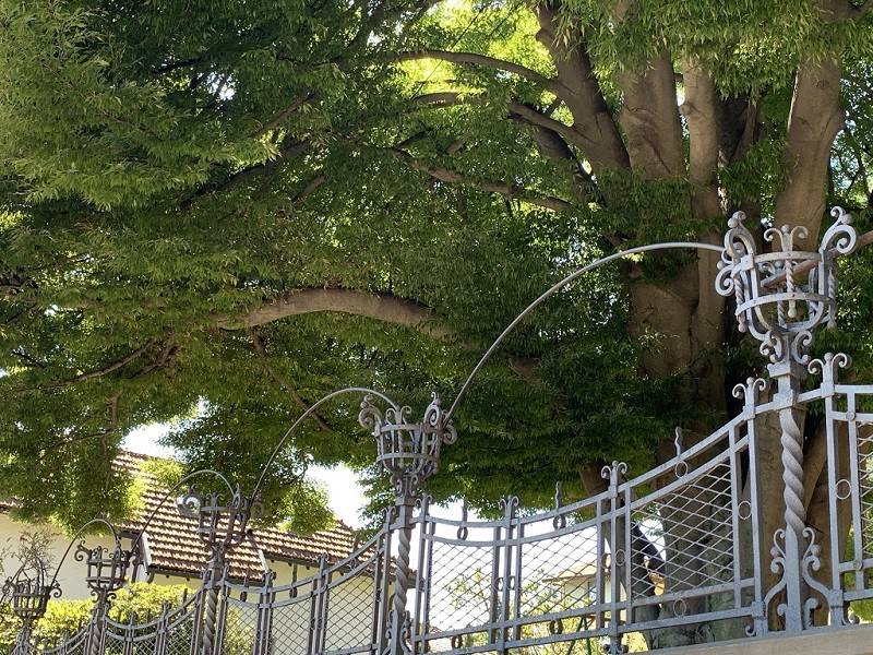 Villa a Biella in Via delle Ville, 9 - Foto 5