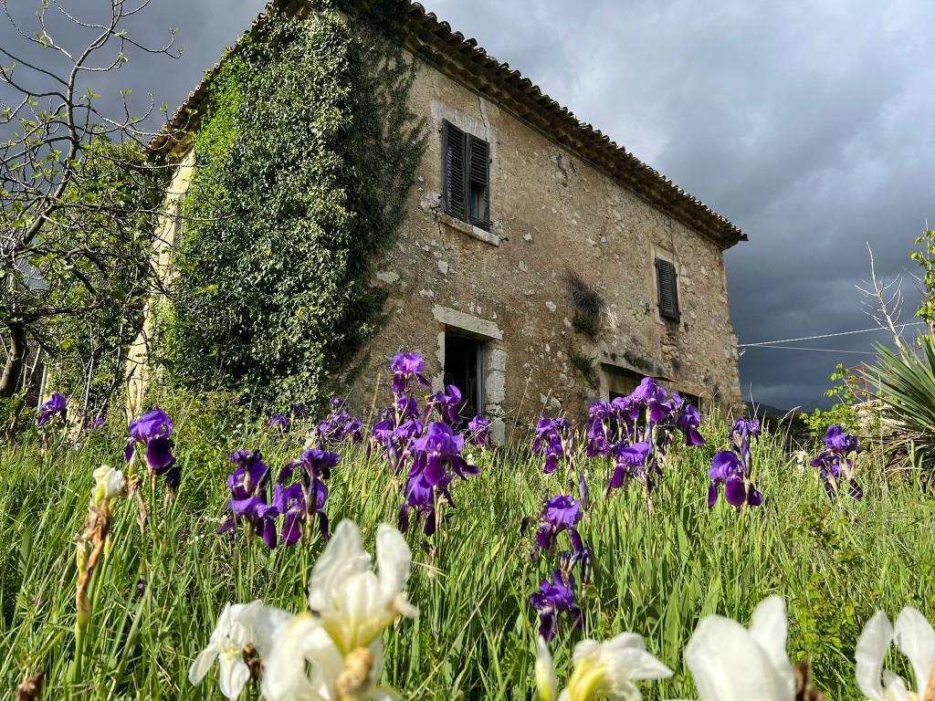 Rustico / casale a Veroli in Via Santa Francesca - Foto 3