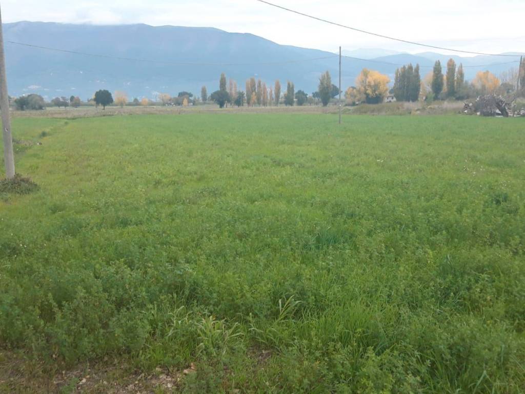 Terreno a Montefalco - Foto 3