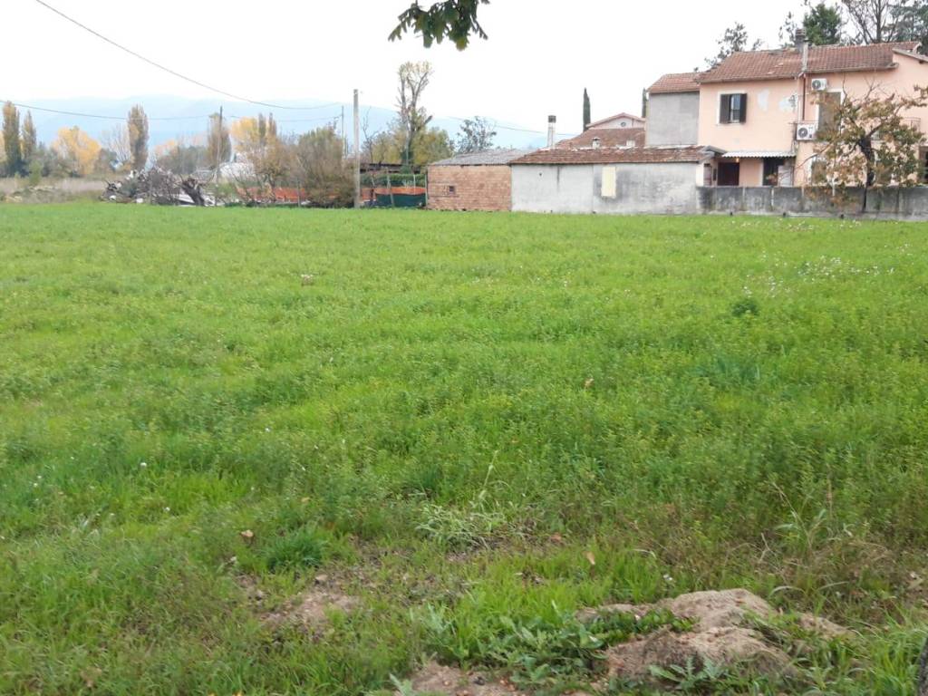 Terreno a Montefalco - Foto 4