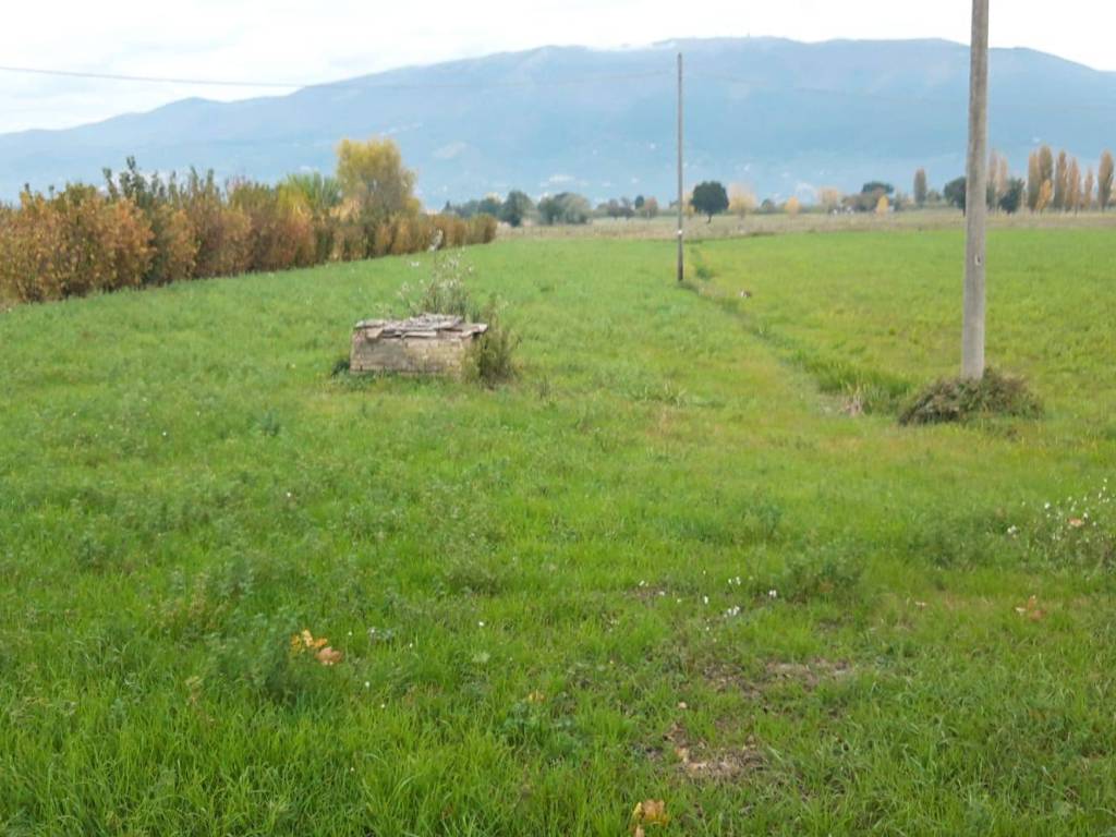 Terreno a Montefalco - Foto 5