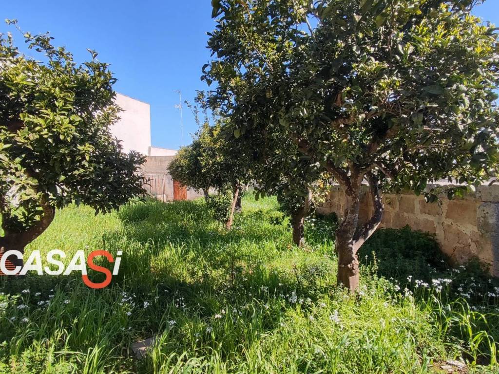 Appartamento a Palmariggi - Foto 4