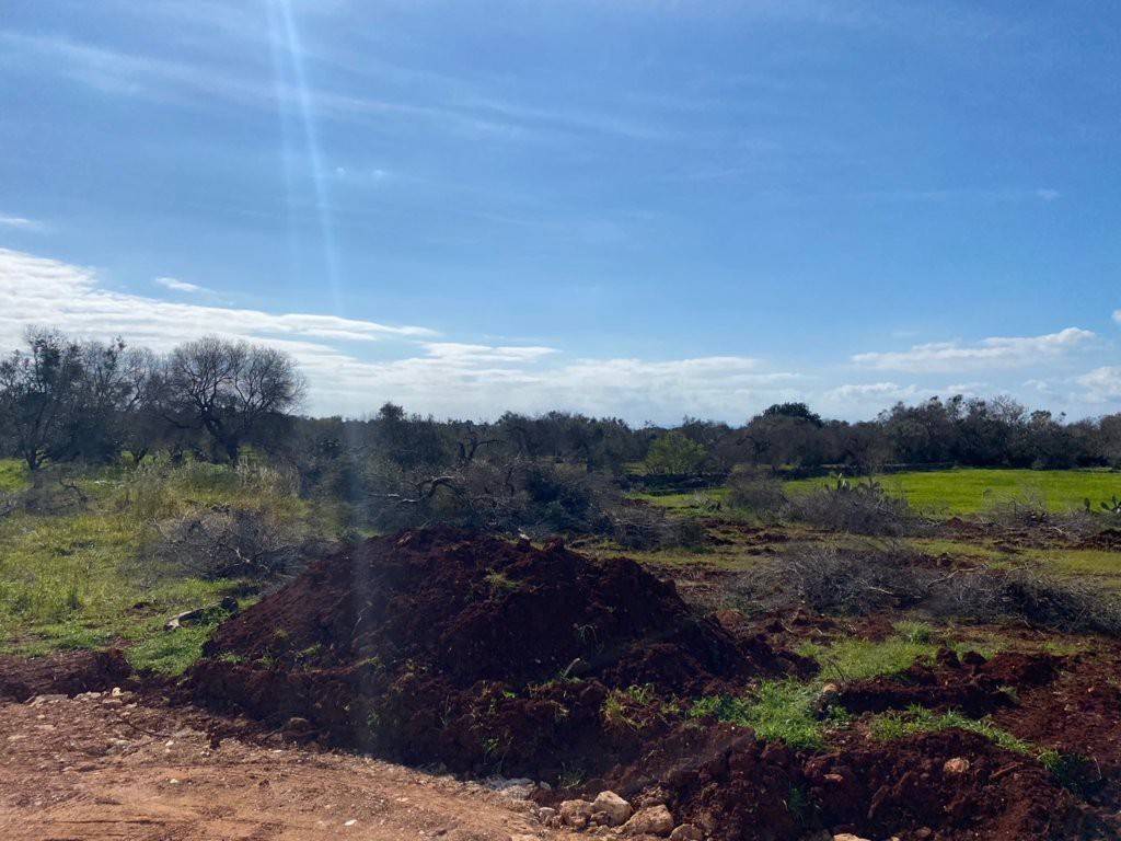 Villa a Morciano di leuca in Strada Comunale Pozzo Fasulo - Foto 3