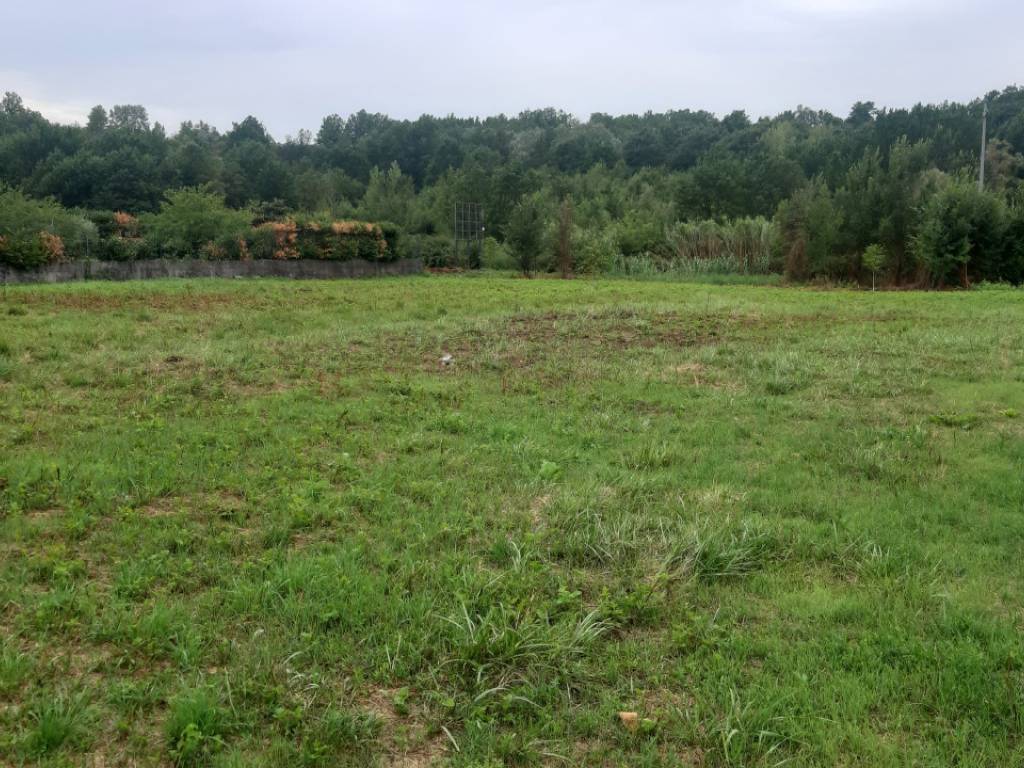 Terreno a Vicalvi - Foto 2