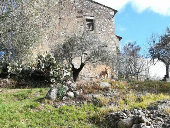 Rustico / casale a Fontechiari - Foto 3