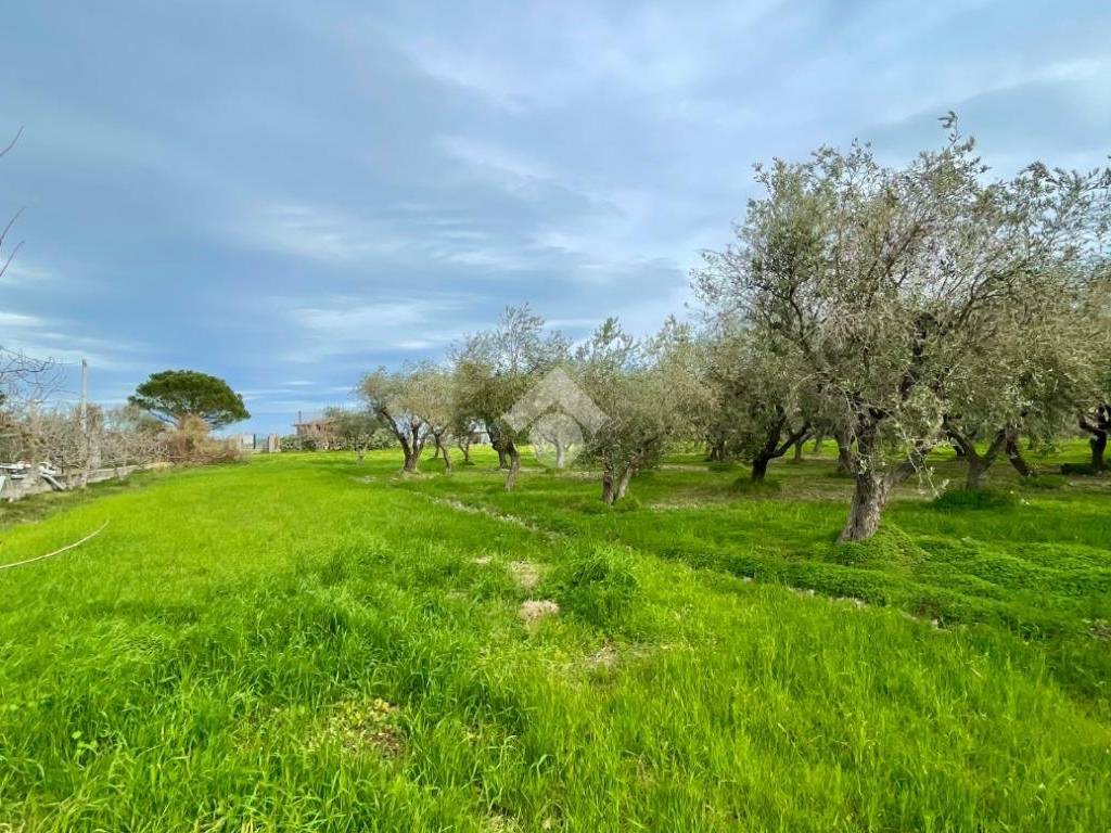 Villa a Corigliano-rossano in C/da Torre Pinta - Foto 3