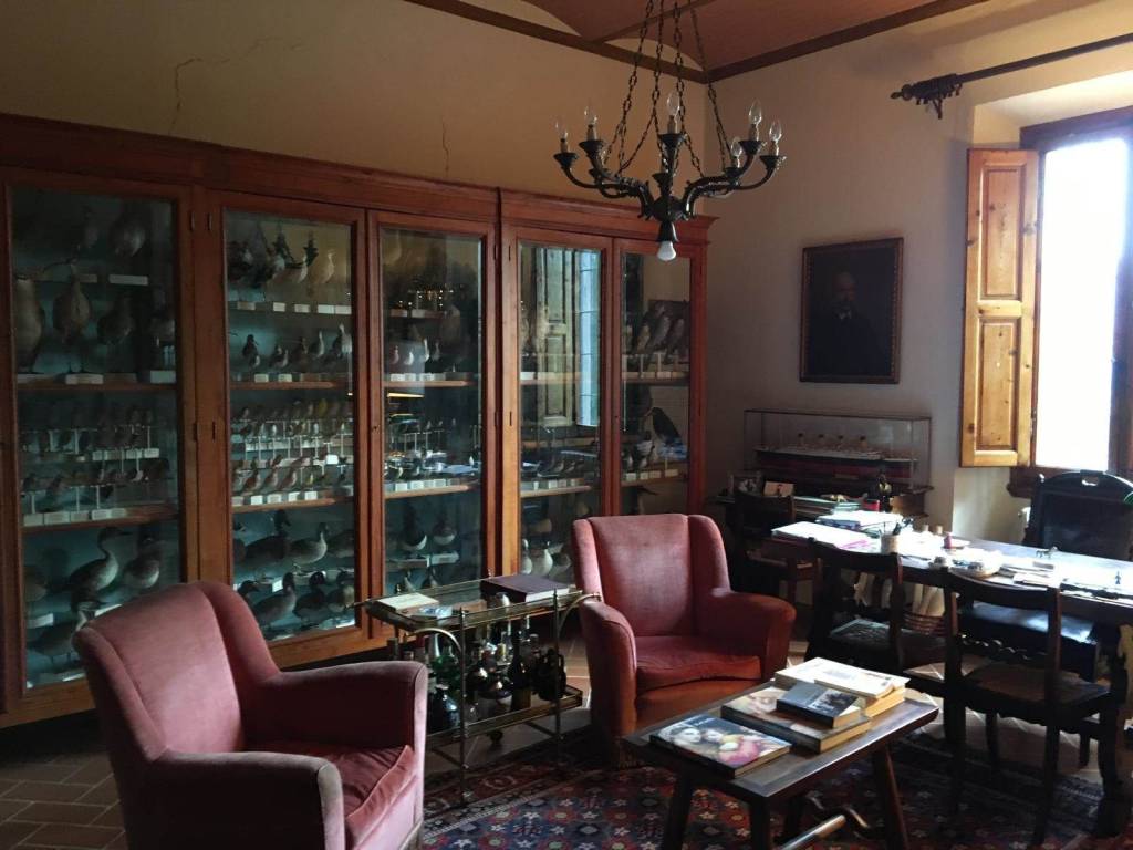 Villa a Vicchio - Foto 4
