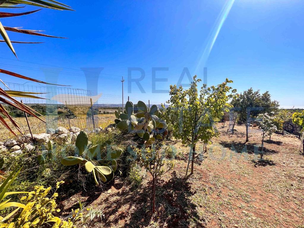 Villa a Noto in Via Tommaso Fazello, 228 - Foto 4