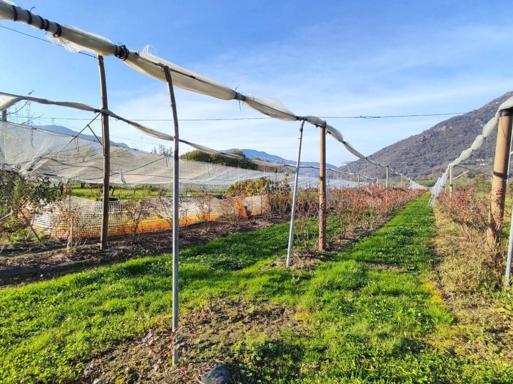 Rustico / casale a Sanfront in Via Valle Po - Foto 3