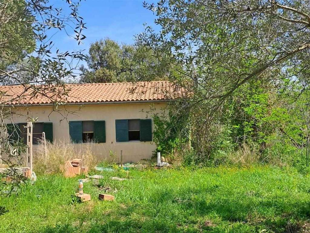 Rustico / casale a Magliano in toscana - Foto 2