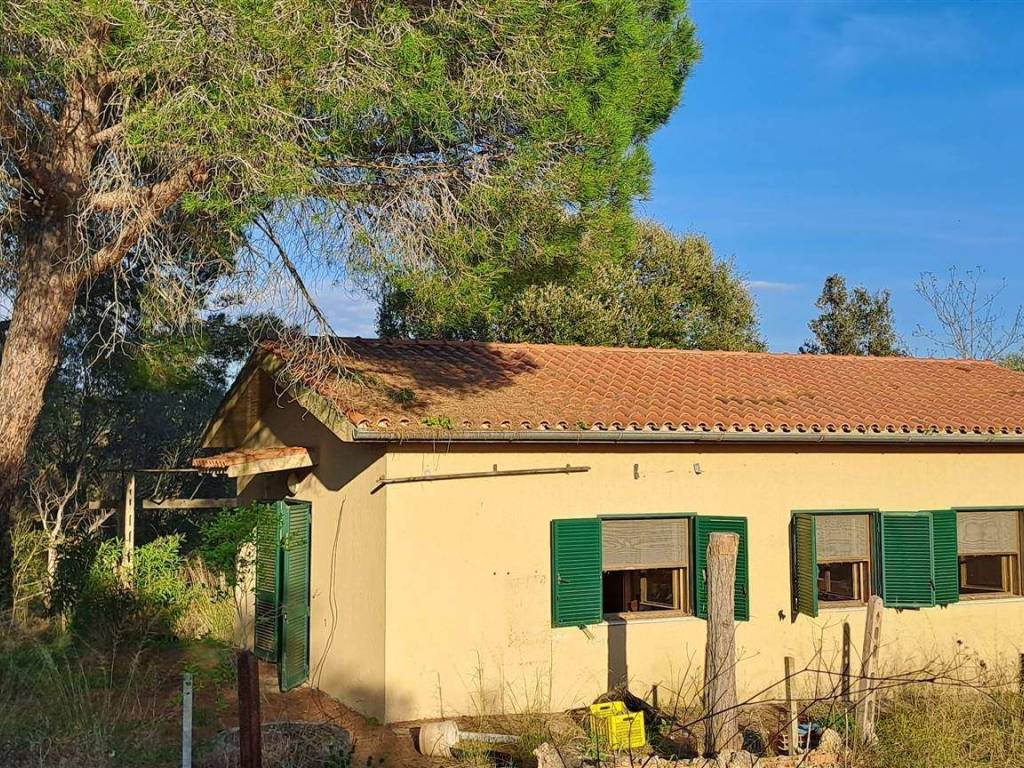 Rustico / casale a Magliano in toscana - Foto 3