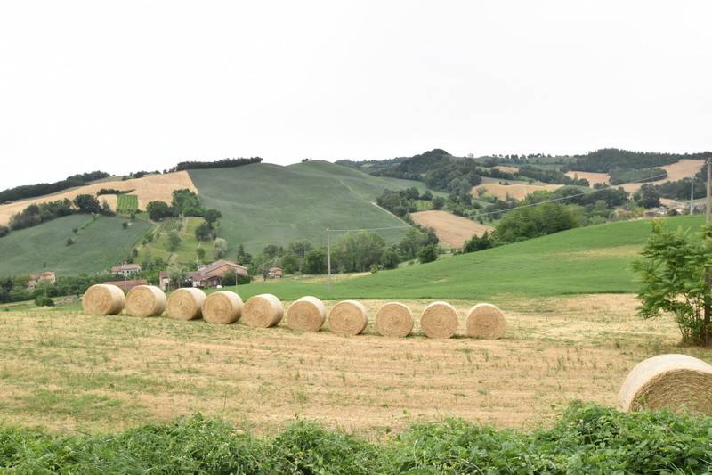 Rustico / casale a Felino in Strada Provinciale Pedemontana - Foto 2
