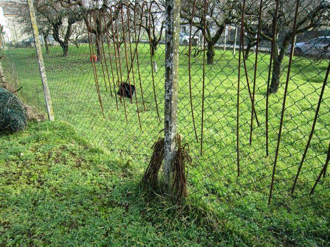 Rustico / casale a Mortara - Foto 3