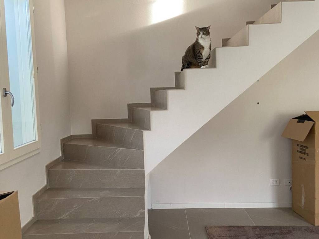 Villa a Sassuolo in Via del Pretorio, 38 - Foto 4