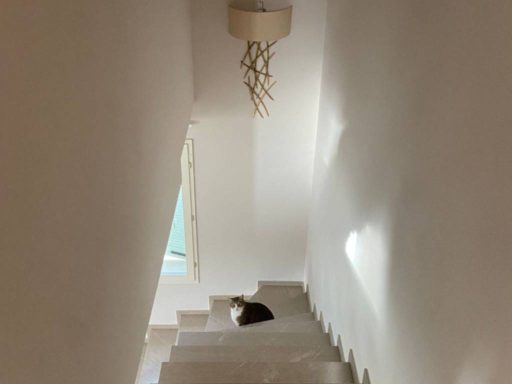 Villa a Sassuolo in Via del Pretorio, 38 - Foto 5