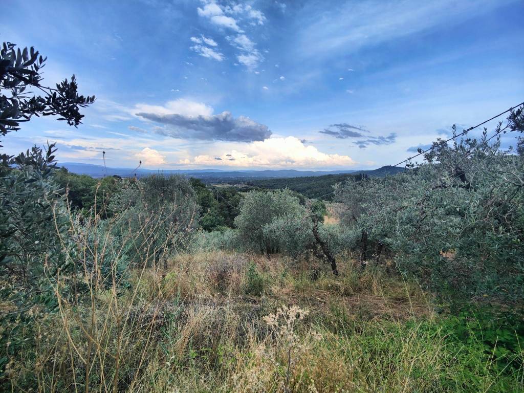 Rustico / casale a Montevarchi - Foto 4