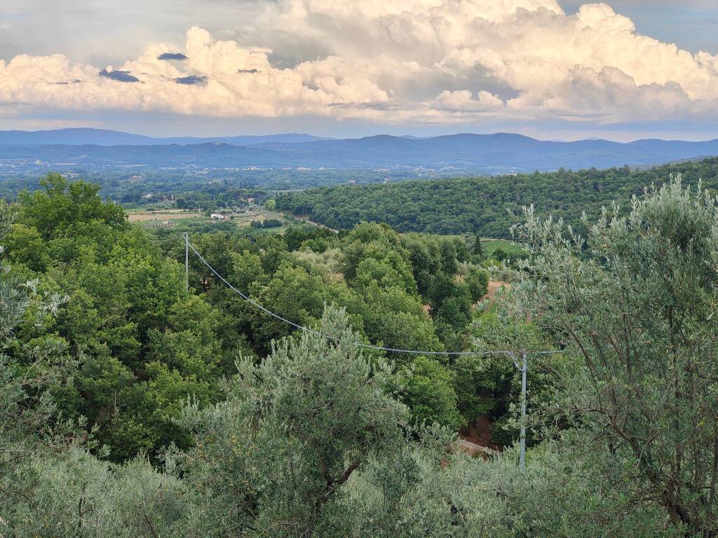 Rustico / casale a Montevarchi - Foto 5