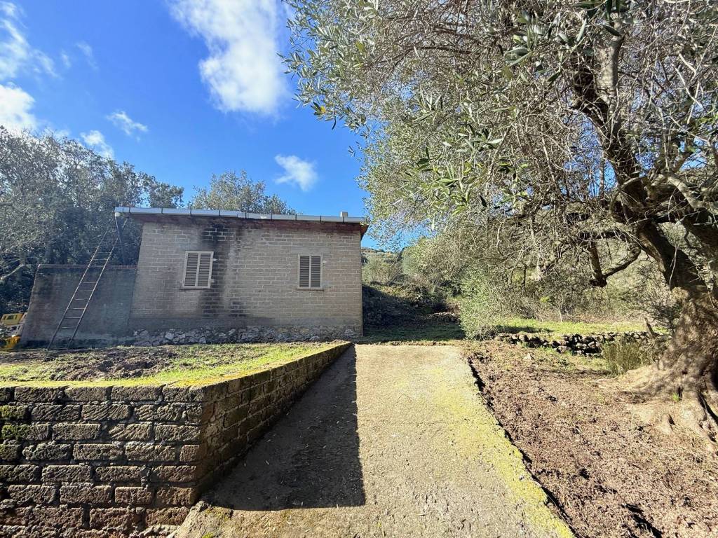 Rustico / casale a Monte argentario in Via del Campone - Foto 3