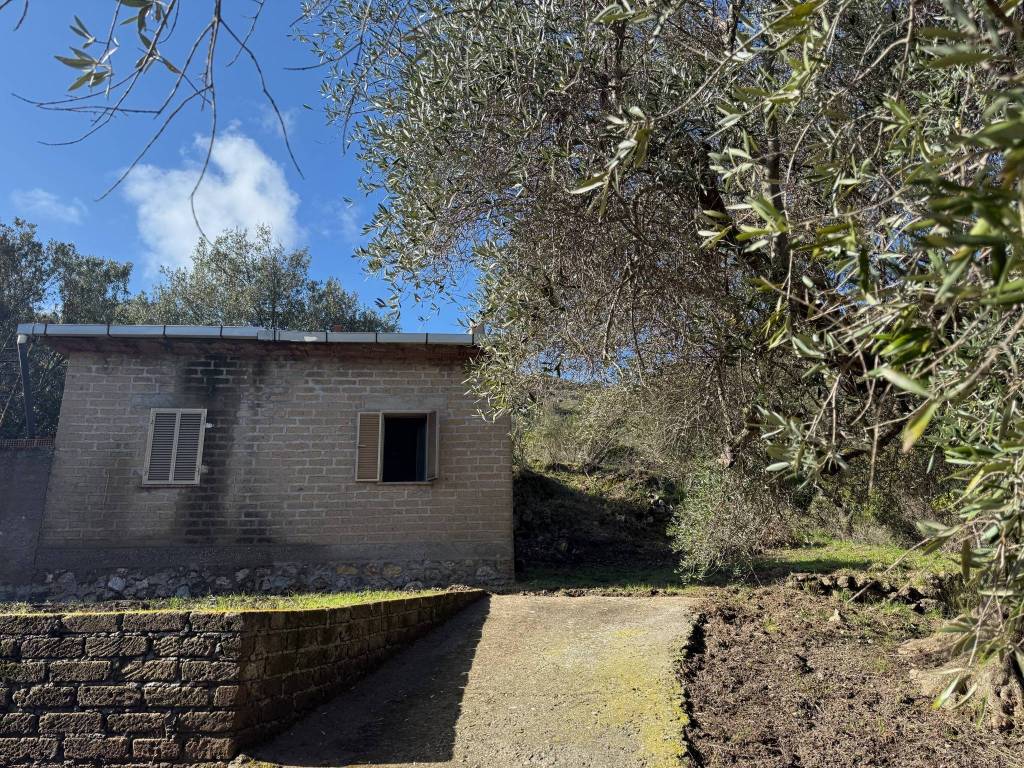 Rustico / casale a Monte argentario in Via del Campone - Foto 4