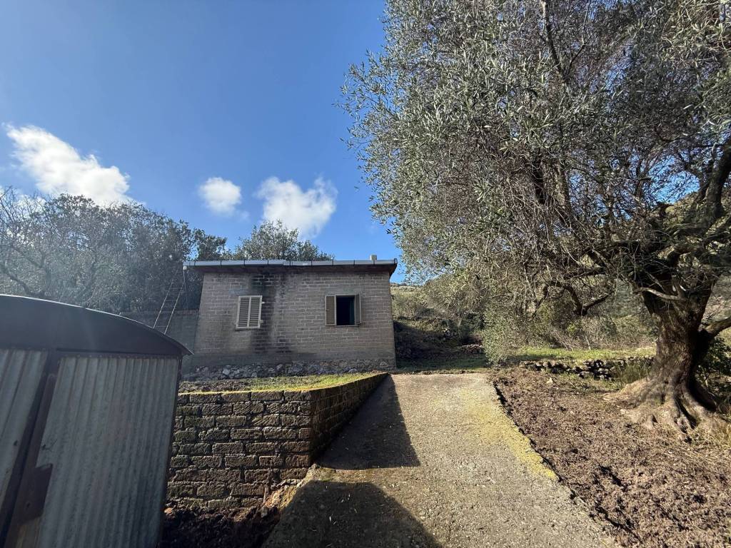 Rustico / casale a Monte argentario in Via del Campone - Foto 5