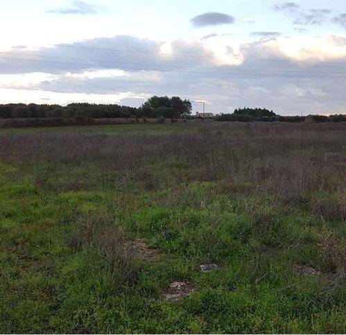 Terreno a Tricase in Strada Provinciale 335 - Foto 2