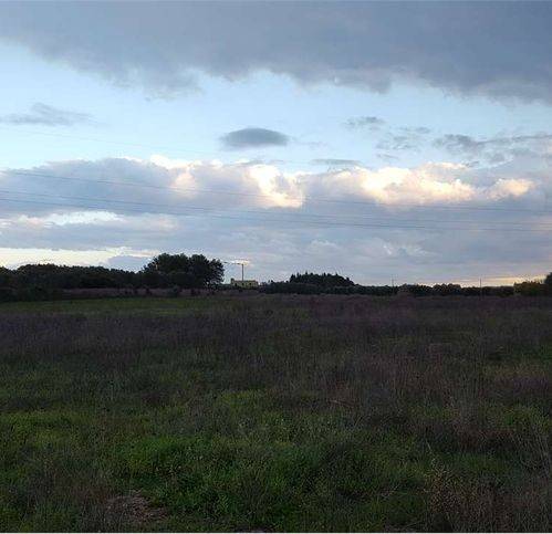 Terreno a Tricase in Strada Provinciale 335 - Foto 3