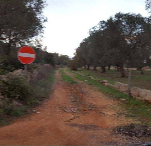 Terreno a Tricase in Strada Provinciale 335 - Foto 5