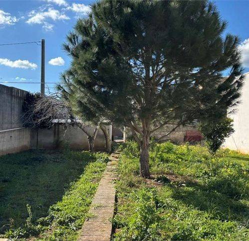 Terreno a Andrano - Foto 3