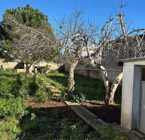 Terreno a Andrano - Foto 5