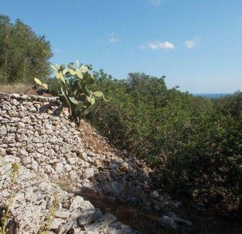 Terreno a Andrano - Foto 5